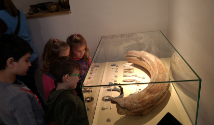 Východočeské muzeum - Cesta do pravěku