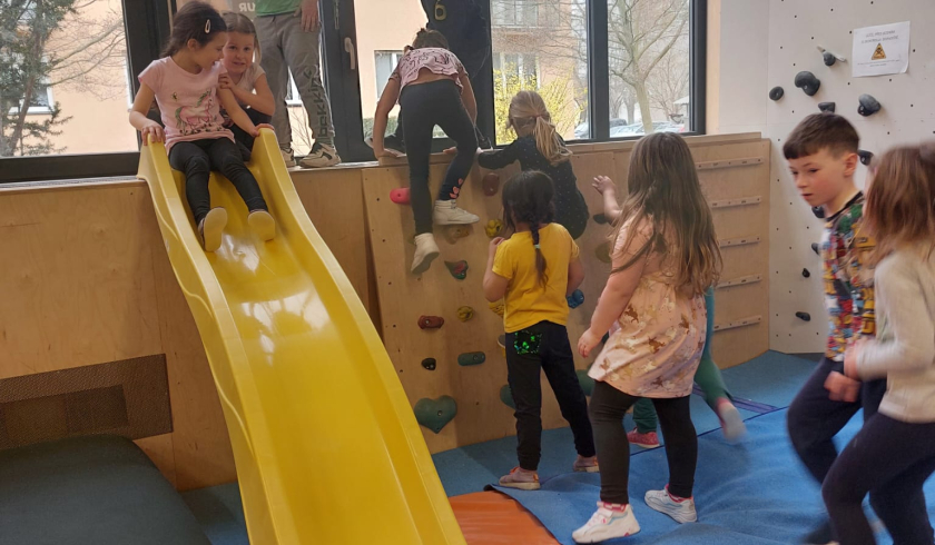 Jungle sport park