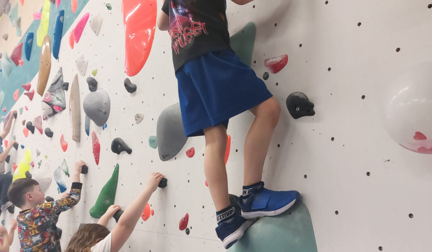 Jungle sport park