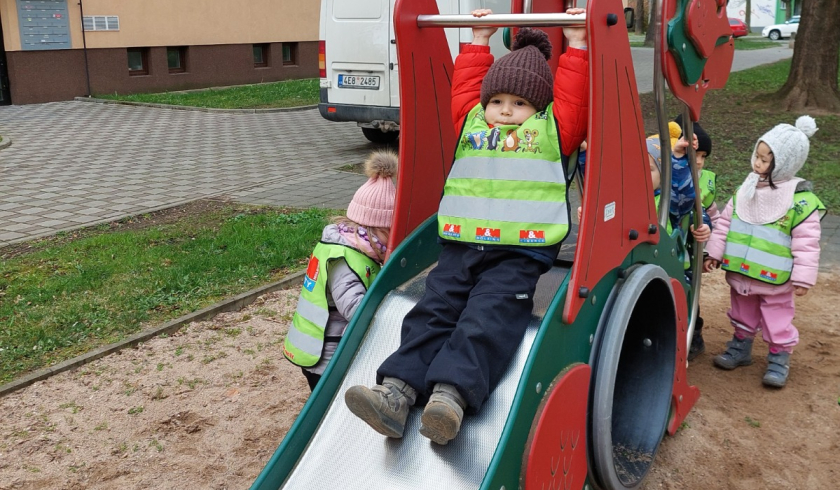 Kuřátka a jiné