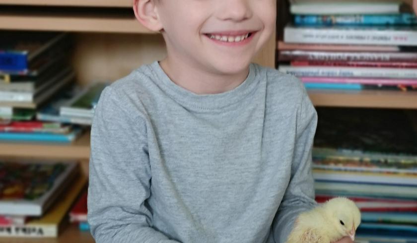 Velikonoce a kuřátka