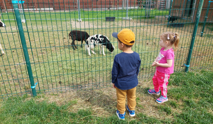 Zoo Bítovany