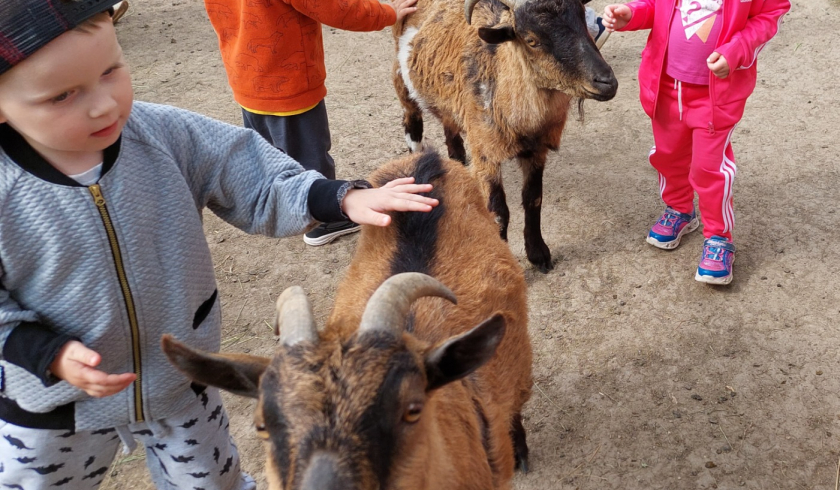 Zoo Bítovany