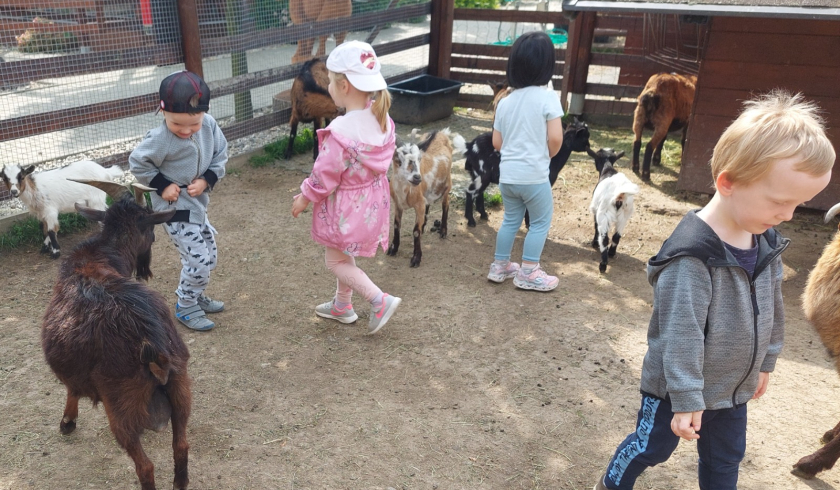 Zoo Bítovany