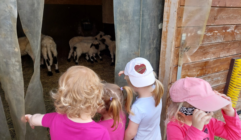 Zoo Bítovany