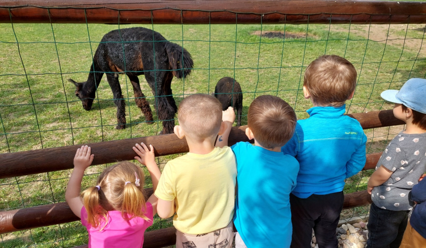 Zoo Bítovany