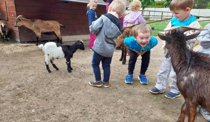 Zoo Bítovany