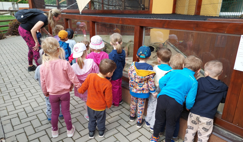 Zoo Bítovany
