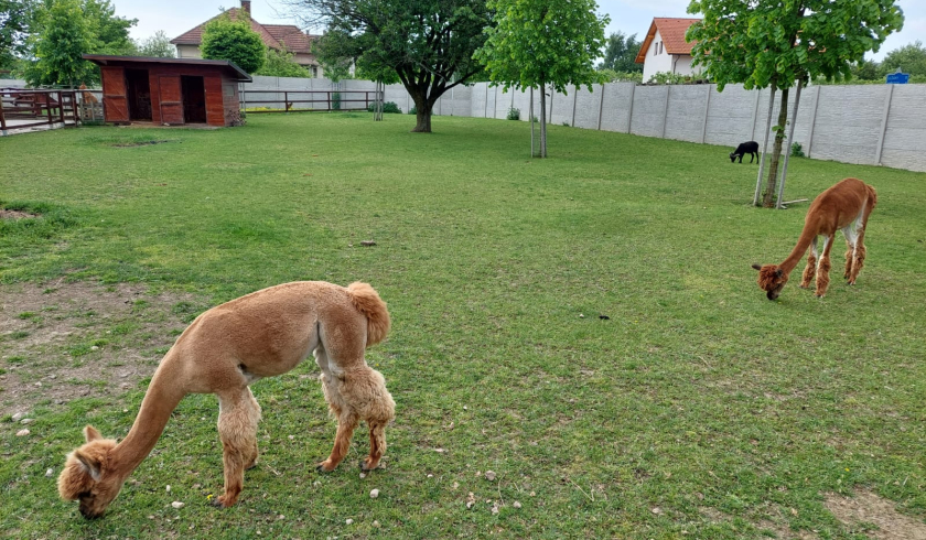 Zoo Bítovany
