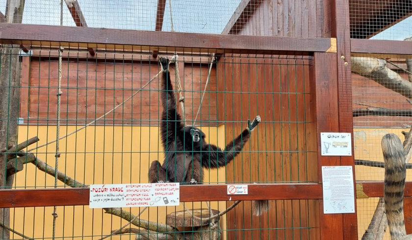Zoo Bítovany