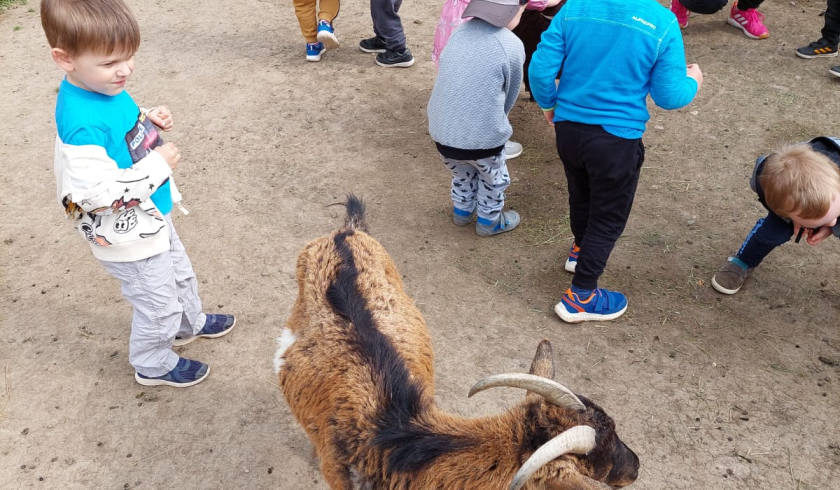 Zoo Bítovany