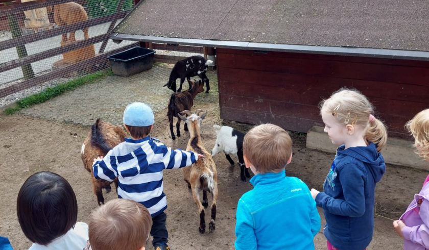 Zoo Bítovany