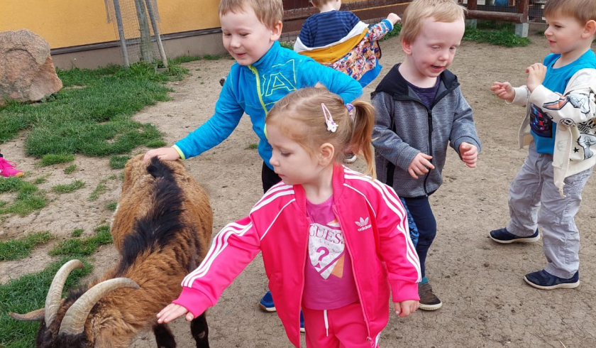 Zoo Bítovany