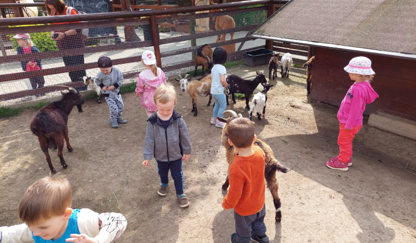 Zoo Bítovany