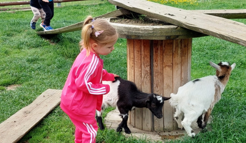 Zoo Bítovany