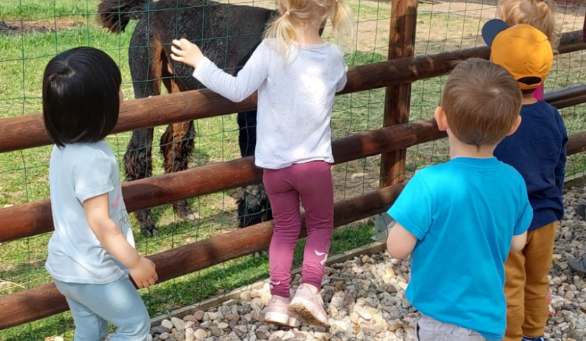 Zoo Bítovany
